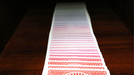 Spectrum Tally Ho Deck by US Playing Card Co.