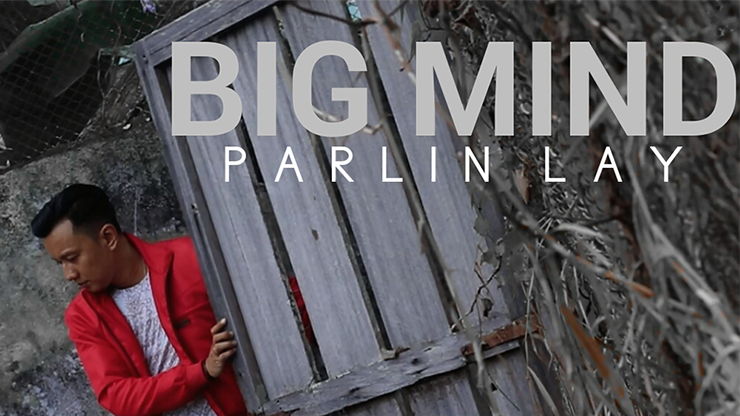 Big Mind by Parlin Lay - Video Download