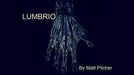 LUMBRIO by Matt Pilcher - Video Download