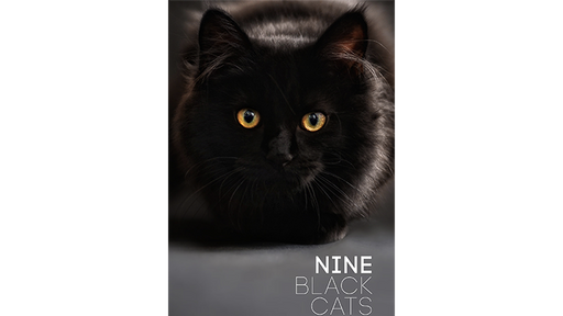 Nine Black Cats by Neema Atri - ebook
