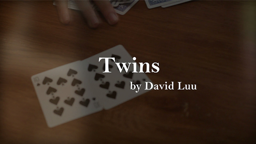 Twins by David Luu - Video Download