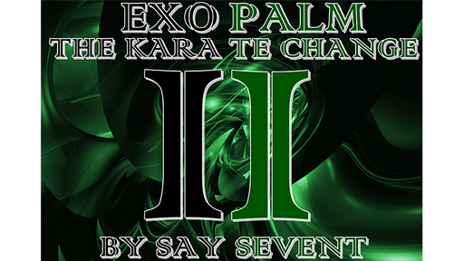 EXOPALM THE KARATE CHANGE by SaysevenT - Video Download