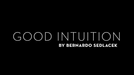 Good Intuition by Bernardo Sedlacek - Video Download