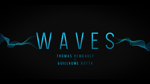 Waves by Guillaume Botta and Thomas Rembault - Video Download