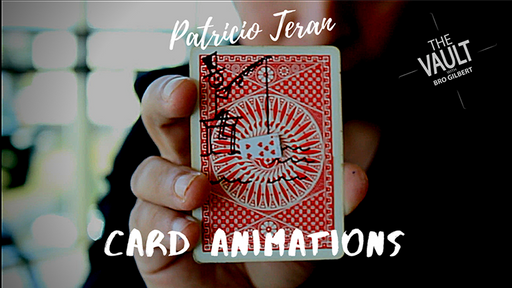 The Vault - Card Animations by Patricio Teran - Video Download