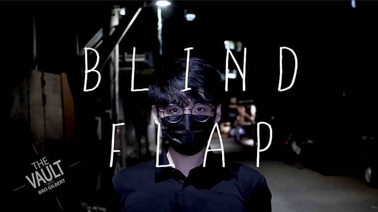 The Vault - Blind Flap Project by PH and Mario Tarasini - Video Download