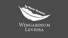 Wingardium Leviosa by Mario Tarasini - Video Download