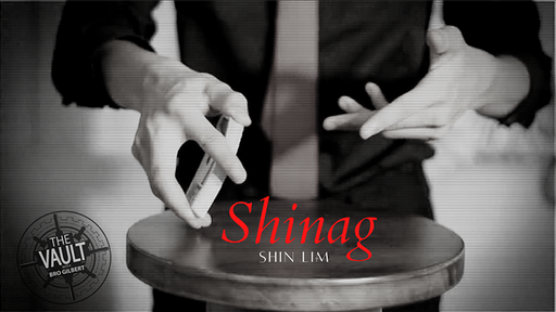 The Vault - Shinag by Shin Lim - Video Download