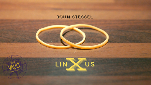 The Vault - Linxus by John Stessel - Video Download