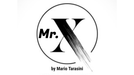 Mr. X by Mario Tarasini - Video Download