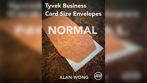 Tyvek Business Card Size Envelopes (10 pk.) by Alan Wong