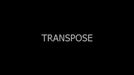 demonstration video of Transpose by Dario Capuozzo - - Video Download