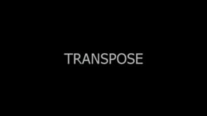 demonstration video of Transpose by Dario Capuozzo - - Video Download