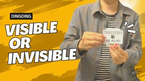 demonstration video of The Vault - Visible or Invisible by Dingding - Video Download