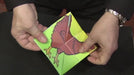 demonstration video of Folding Prediction by Gustav - Mixed Media Download