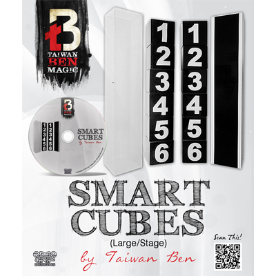 Smart Cubes (Large / Stage) by Taiwan Ben Trick