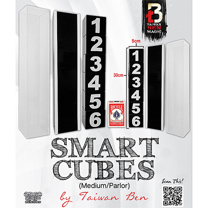Smart Cubes (Medium / Parlor) by Taiwan Ben Trick