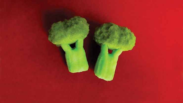 Sponge Broccoli (Set of Two) by Alexander May Trick