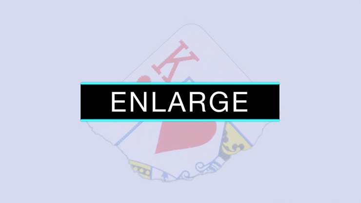 Enlarge (DVD and Gimmicks) by SansMinds DVD