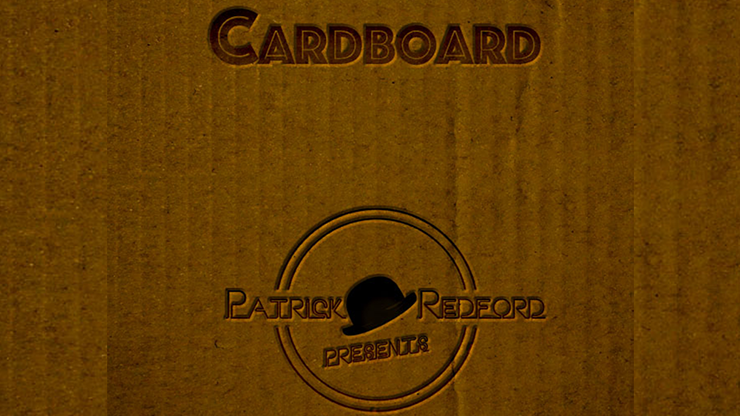 CARDBOARD The Book by Patrick G. Redford Book