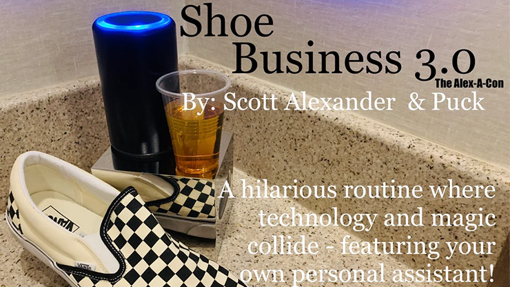 Shoe Business 3.0 by Scott Alexander & P