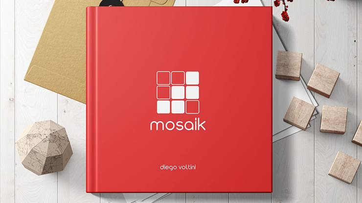 MOSAIK by Diego Voltini Book