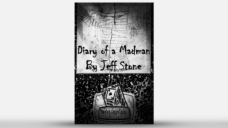 Diary of a Madman by Jeff Stone Book