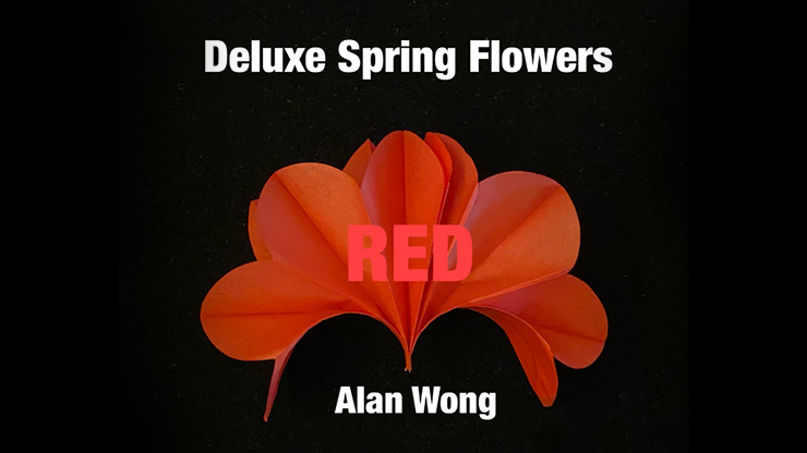 Deluxe Spring Flowers RED by Alan WOng T