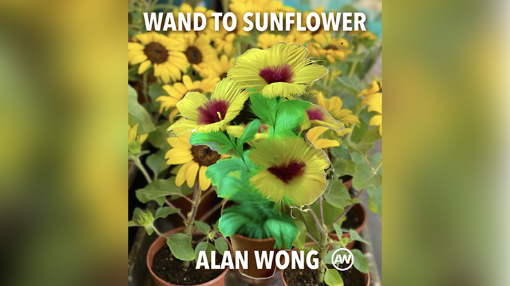 WAND TO SUNFLOWER LARGE by Alan Wong Trick