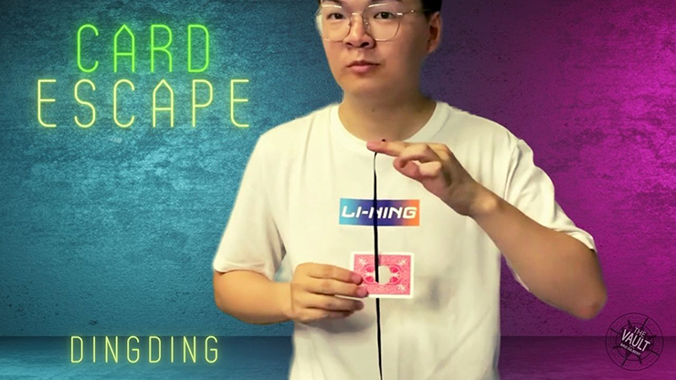 The Vault Card Escape by Dingding video