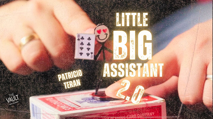 The Vault Little Big Assistant 2 by Patricio Teran video DOWNLOAD