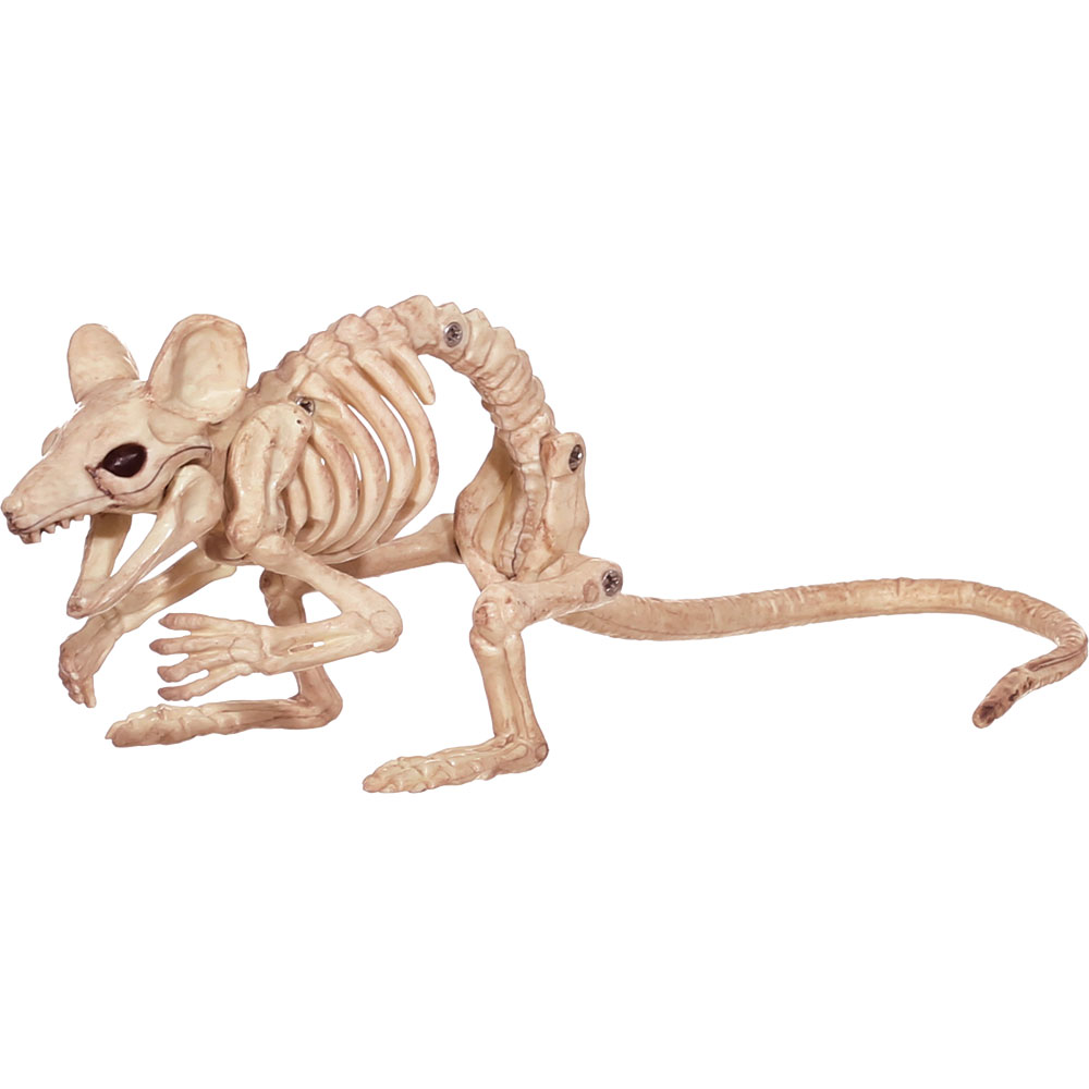 Crouching Mouse Skeleton