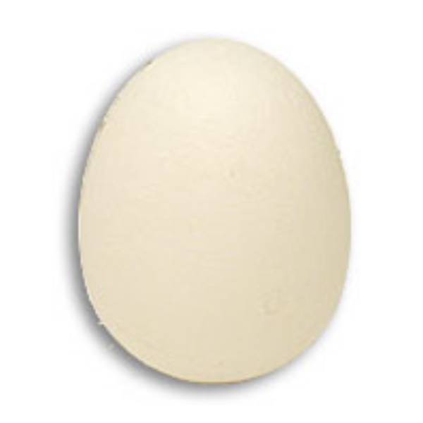 Foam Egg ( 1 egg is 1 unit) Goshman
