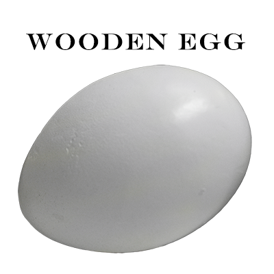 Wooden Egg by Mr. Magic Trick