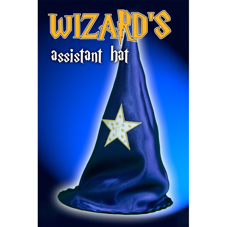 Wizard Assistant Hat