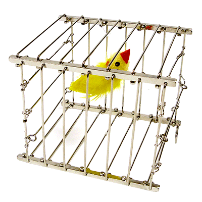 Vanishing Bird Cage Trick